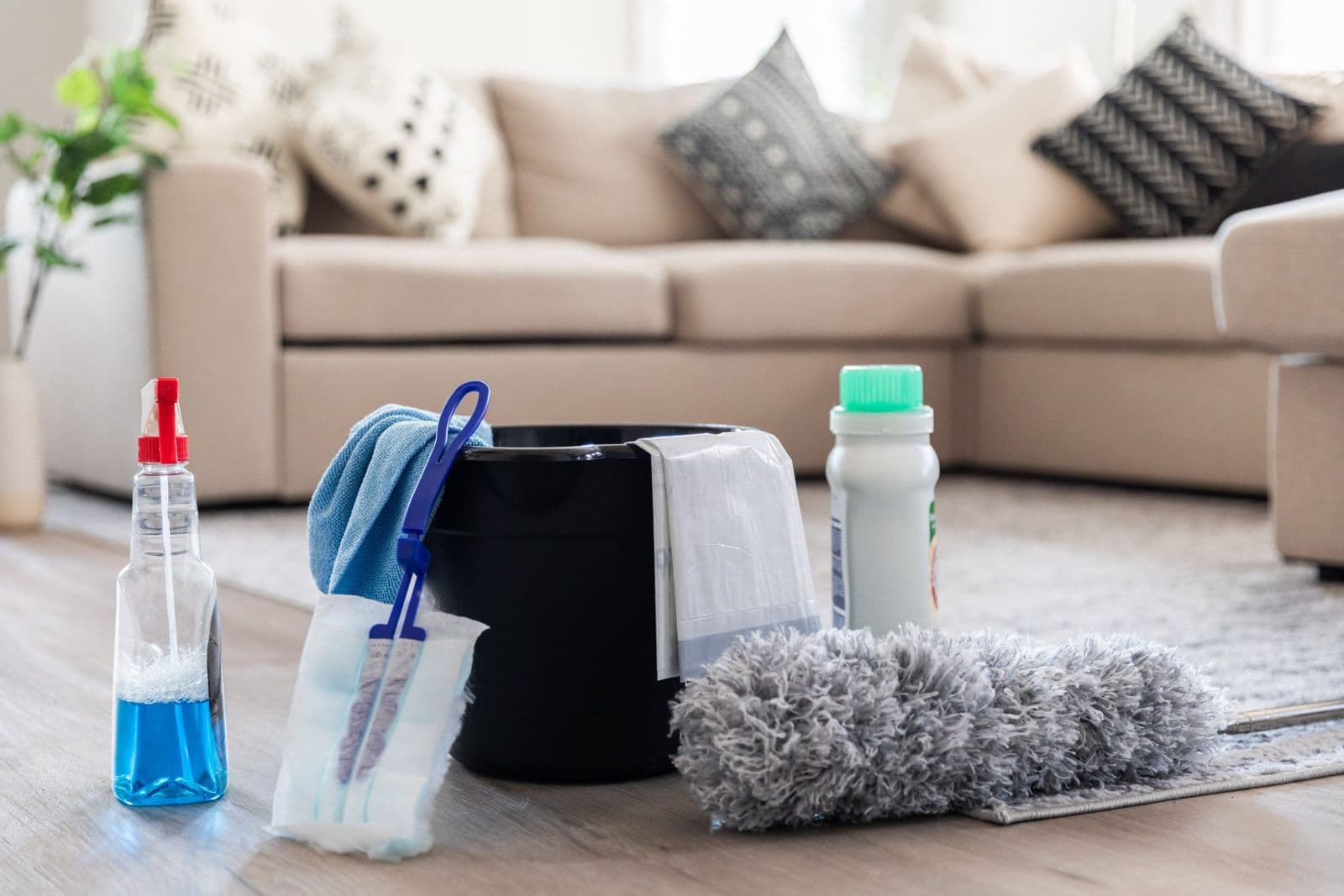 Spring Cleaning
